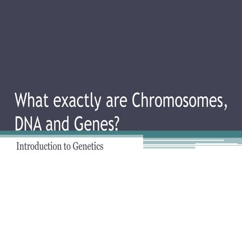Genetics introduction