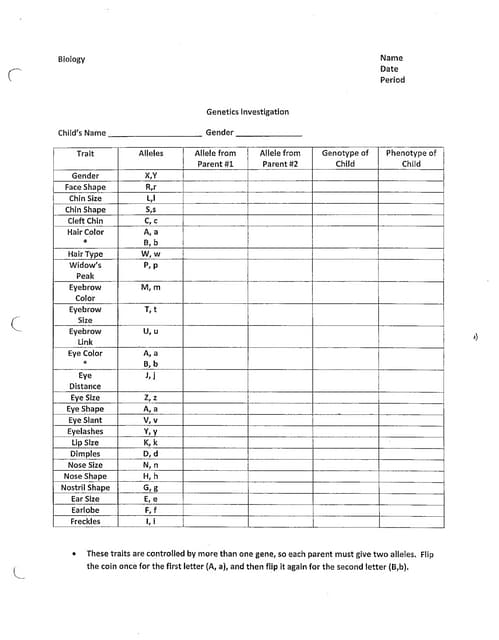 Genetic crosses key | PDF