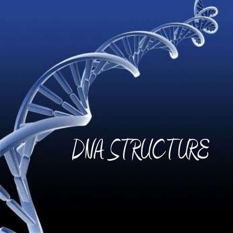Dna structure and function | PPTX