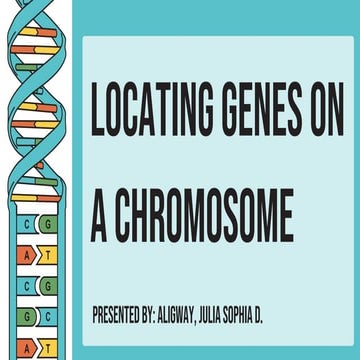 GENETICS: LOCATING GENES ON A CHROMOSOME.pdf