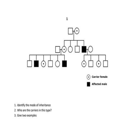Understanding Genetic Inheritance, Chromosomal Abnormalities, and ...