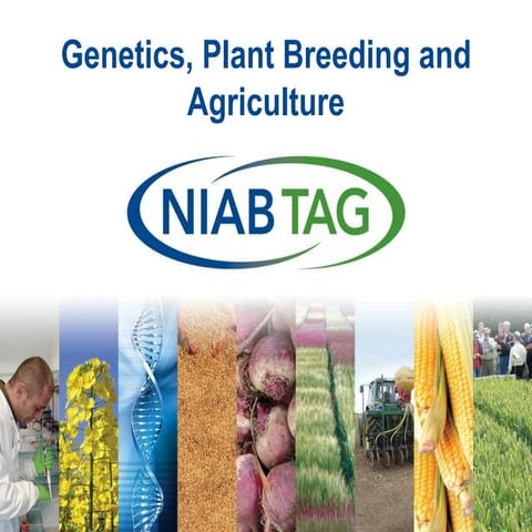 B4FA 2012 Uganda: Genetics, plant breeding and agriculture - Tina Barsby