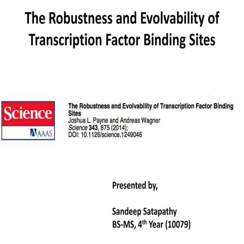 The Robustness and Evolvability of Transcription Factor Binding Sites