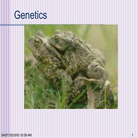 Genetics presentation ’10