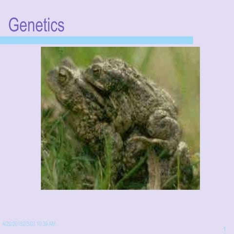 Genetics presentation ’15