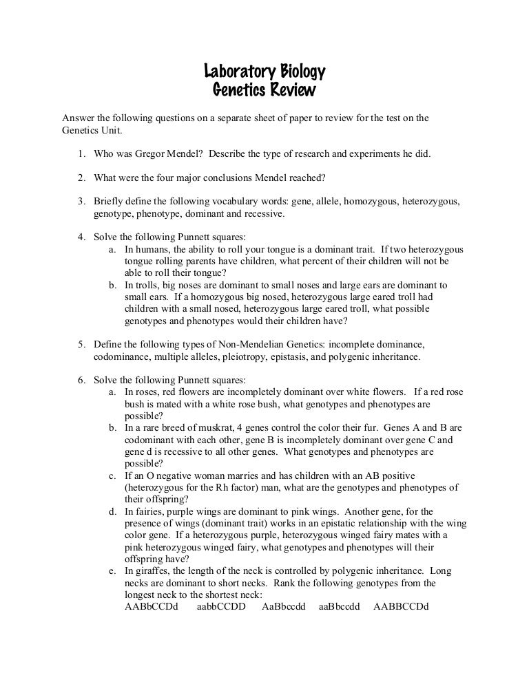 Genetics review sheet