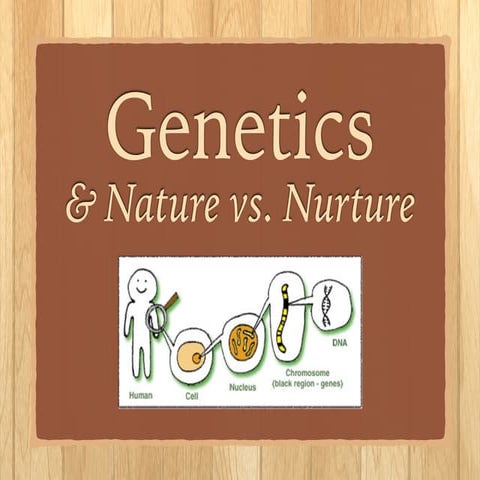 Genetics & Behavior