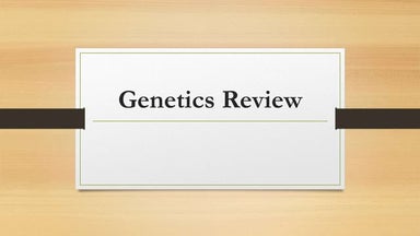 Genetics whiteboard review