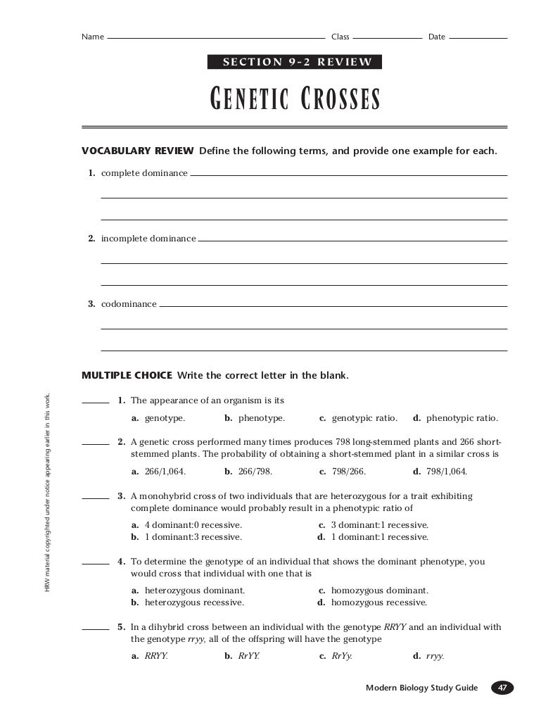 Genetic 9 2