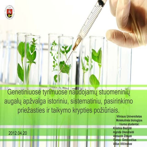 Genetiniuose tyrimuose naudojamų stuomeninių augalų apžvalga istoriniu vlm