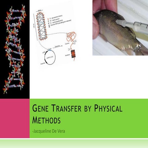 Gene transfer by physical methods