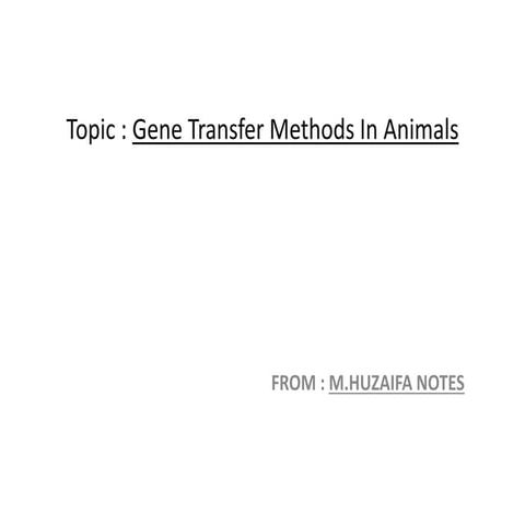 GENE TRANSFER METHODS IN ANIMALS