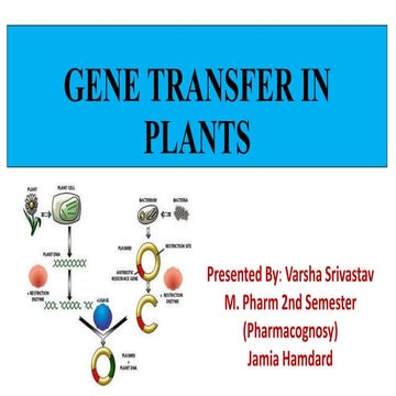 Gene transfer in plants