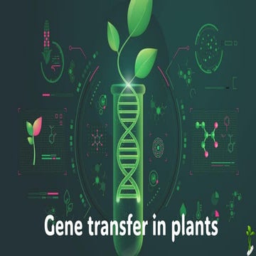 Gene transfer in plants agrobacterium.pdf