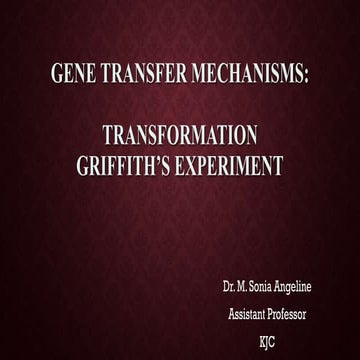 Gene transfer mechanisms