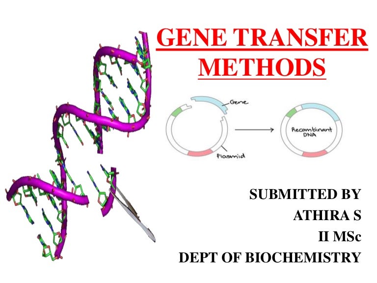 Gene transfer methods
