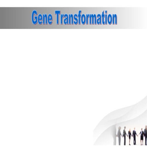 Gene transformation