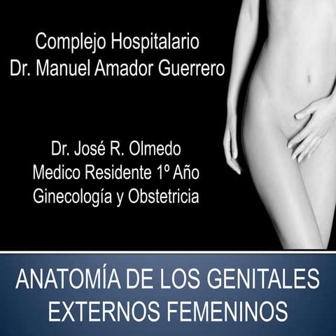 Genitales externos femeninos