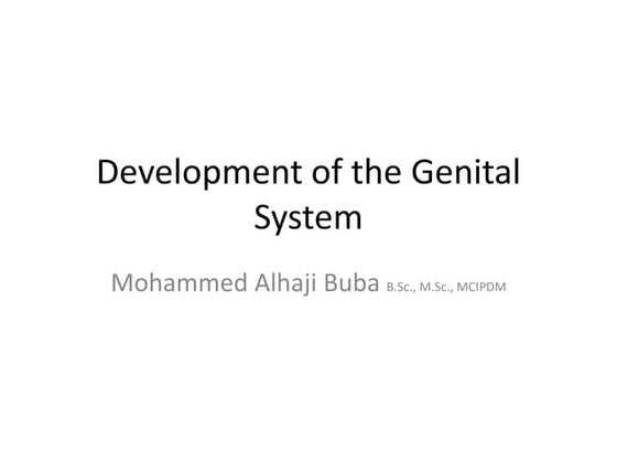 Development of the female reproductive system | PPT