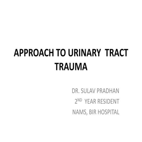 Genito-urinary trauma