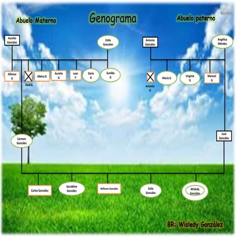 Genograma pp2- wisledy