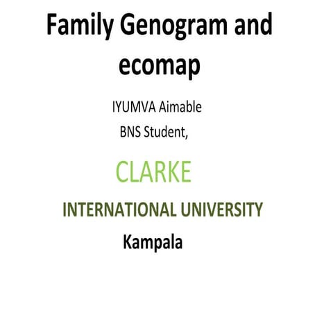 The Family Life Cycle | PPTX