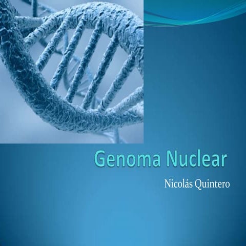 Genoma nuclear