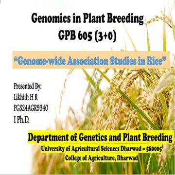 Genome-wide Association Studies in Rice.pptx