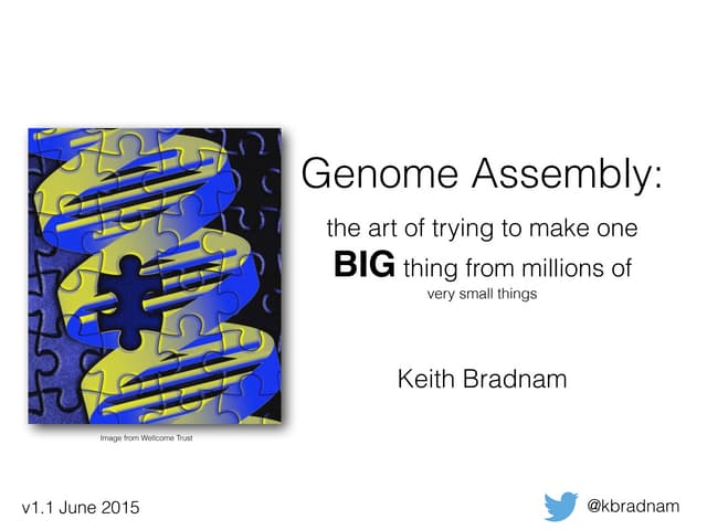 Genome assembly: the art of trying ...