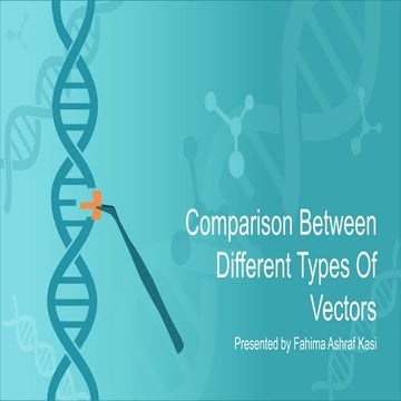 Comparison Between Different Types Of Vectors 
