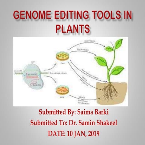 Genome editing tools in plants