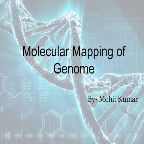 Genome mapping