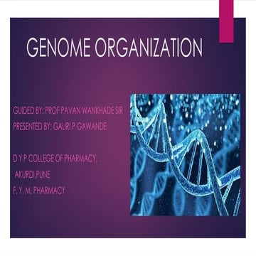 Genome Organization Presentation ppt.pptx