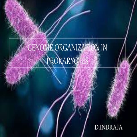 Genome organization in prokaryotes(molecular biology)