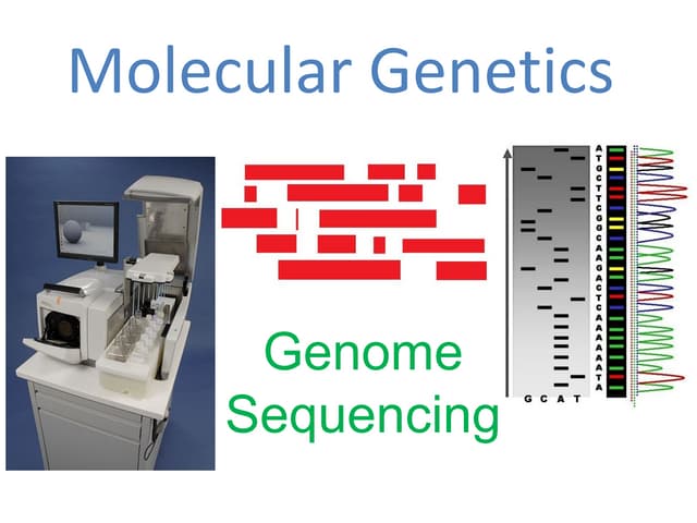 Genome sequencing