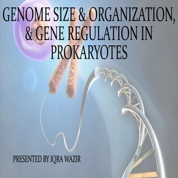 Genome size, organization,& gene regulation in prokaryotes (lac-operon)