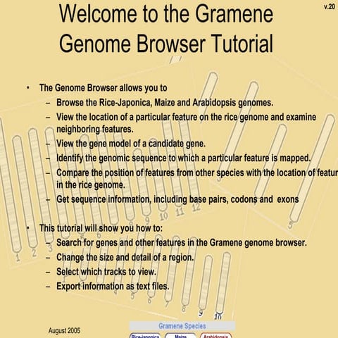 Gramene tutorial | PDF