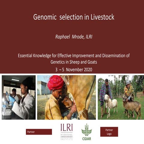Genomic  selection in Livestock