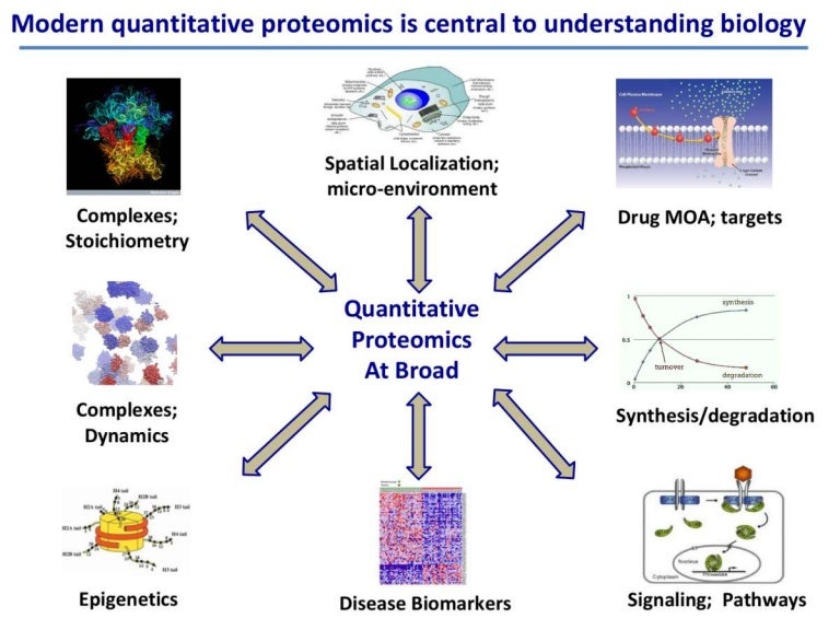 Mass spectrometry A detailed study on components