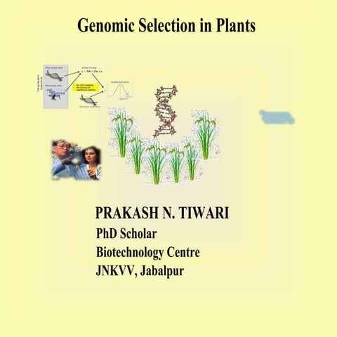 Genomic Selection in Plants