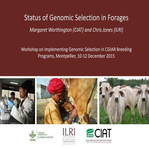 Status of genomic selection in forages