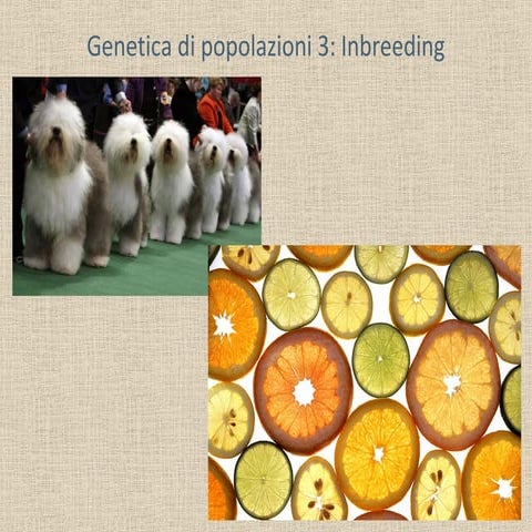 Genetica di popolazioni 3
