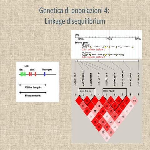 Gen pop4ld | PPT