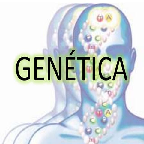 Genética