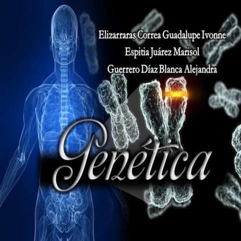 Genética