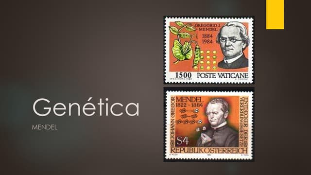 Genética   mendel