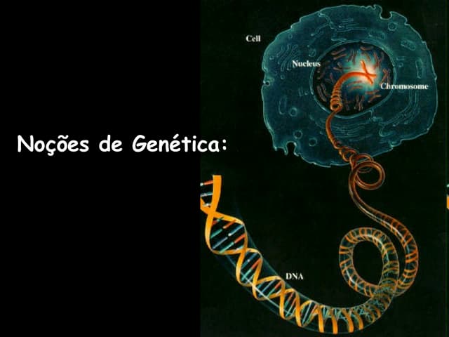 Genética introdução