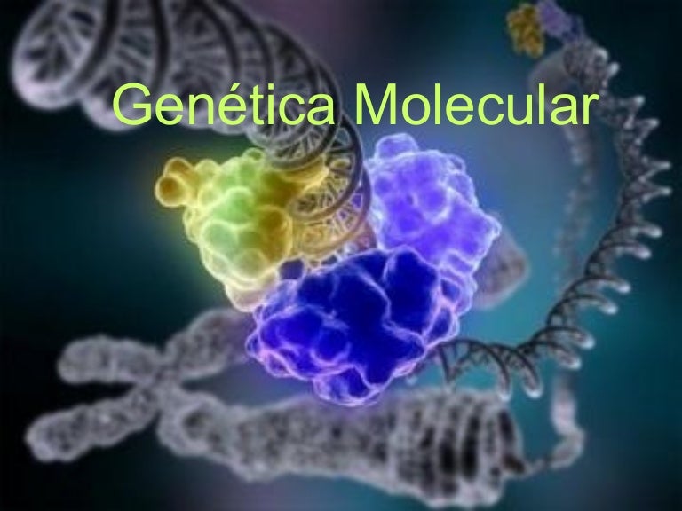 Genética molecular Genética molecular