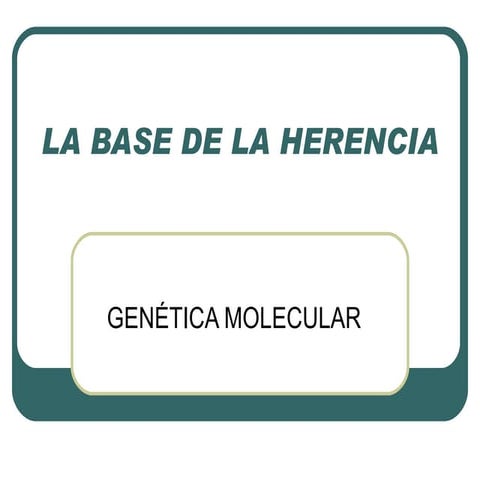 Genética molecular