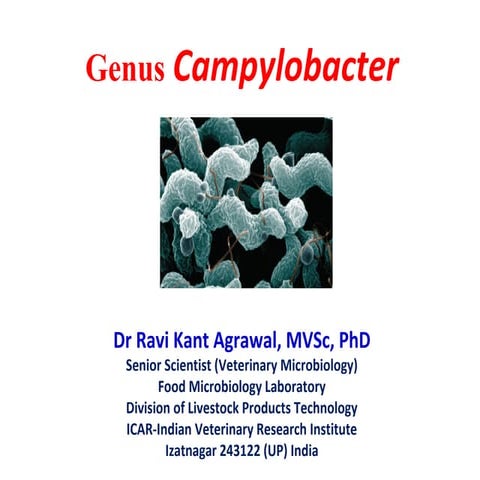Genus campylobacter